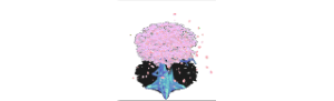 08.png